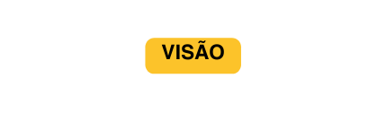 visão